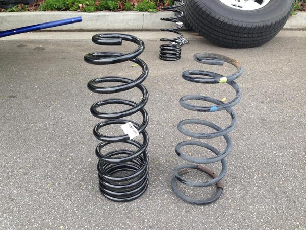 Rear coils