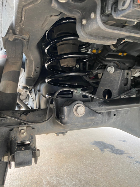 Rear Coils