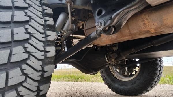 Rear lower control arm