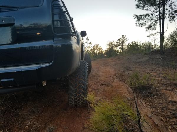 Rear shot