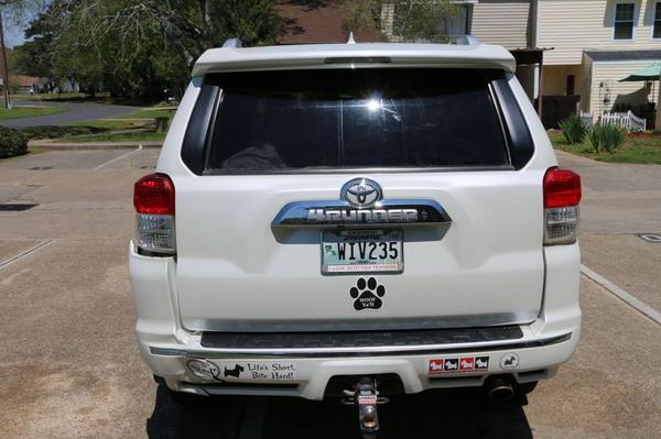 Rear view, tree damage in lower left side of screen on rear bumper cover.