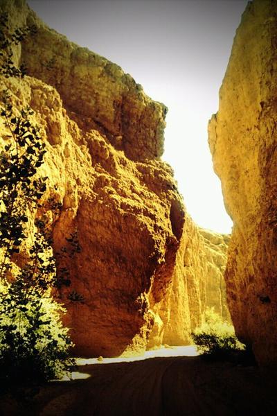 Red Canyon Trail by Chiraco Summit