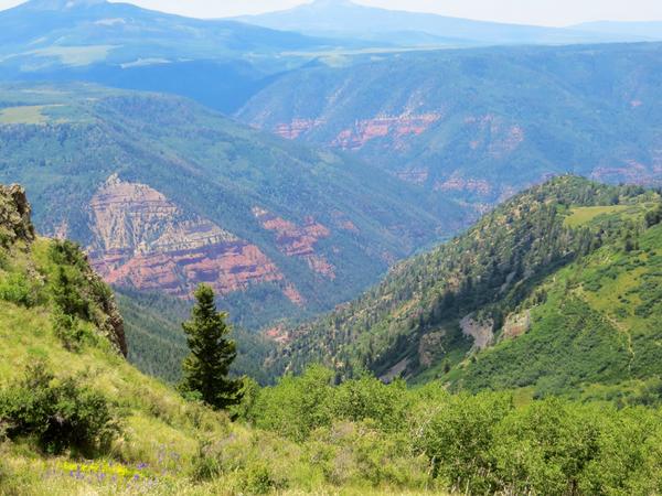 Red cliffs of the Colorado.