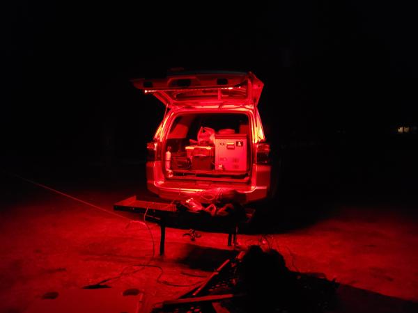 Red Rear small