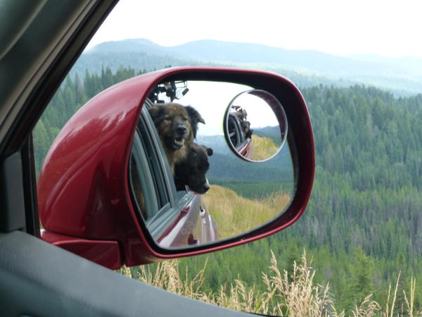 Reflections