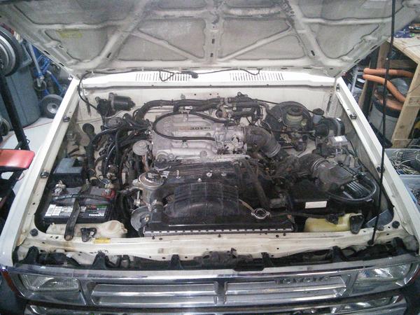 Replaced almost all vacuum tubing, repainted battery hold down, replaced all three belts (sizes from parts house were big, had to go back for one side
