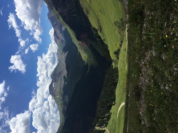 Road in the middle is what we came up