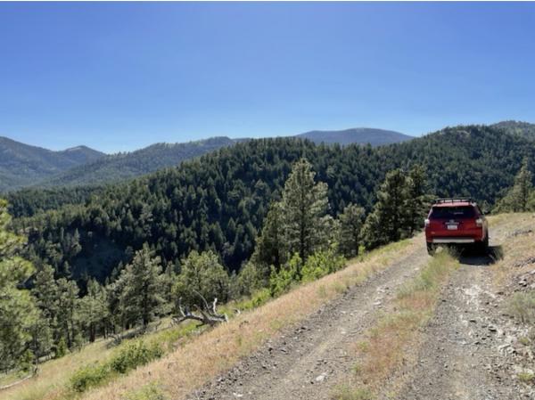 Road near Wolf Creek, MT