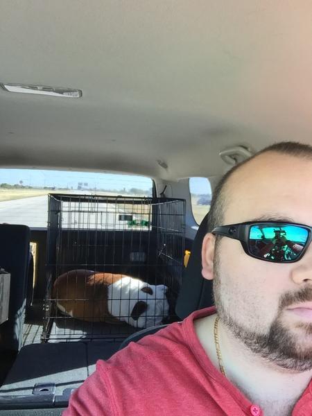 road trip! Winstons passed the f*** out lol