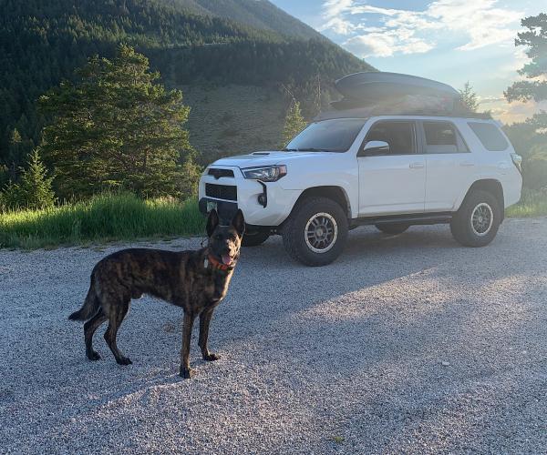 Roadside game of fetch in Wyoming’s Bighorn Mountains National Forest