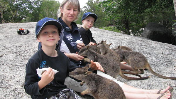 Rock Wallabies at Granite Gorge very friendly !!!