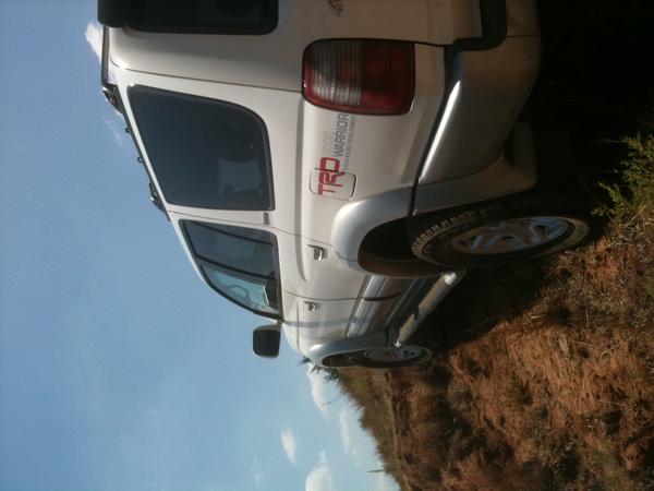 Rock Warrior sticker- Pre window tint.