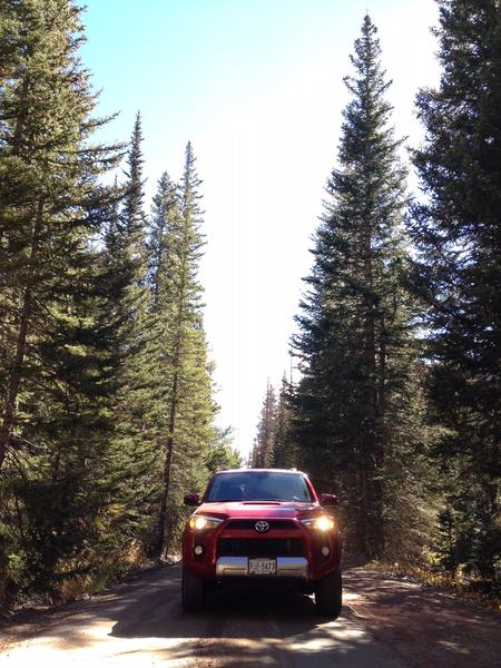 Rocky Mtn National Park: Old Fall River Rd