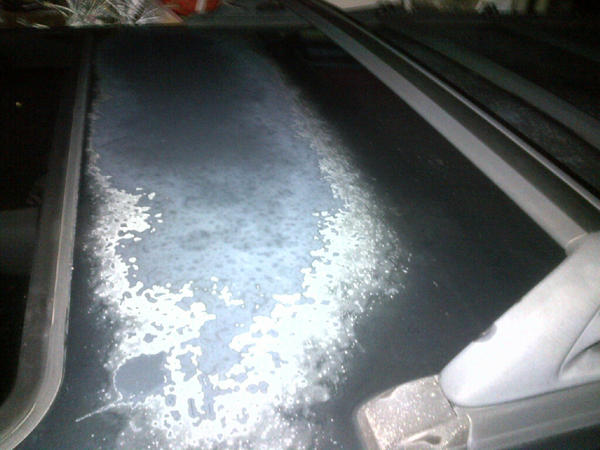 roof1