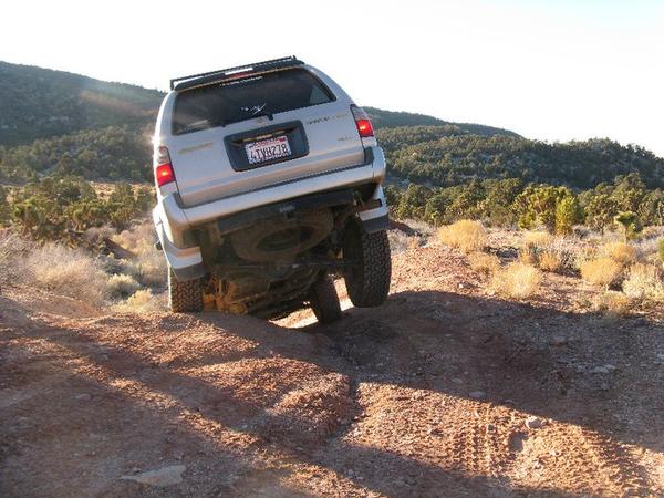 Rosemine near Big Bear CA