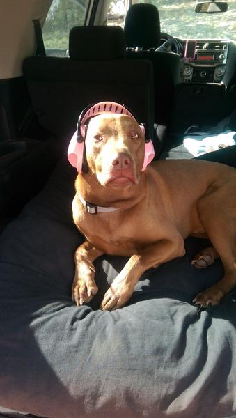 Safety first! Always wear you ear protection when shooting! :)