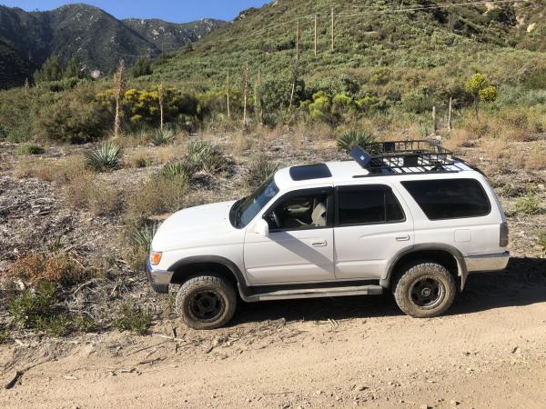 San Bernadino National Forest