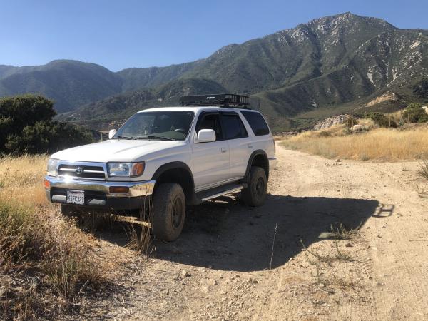 San Bernadino National Forest