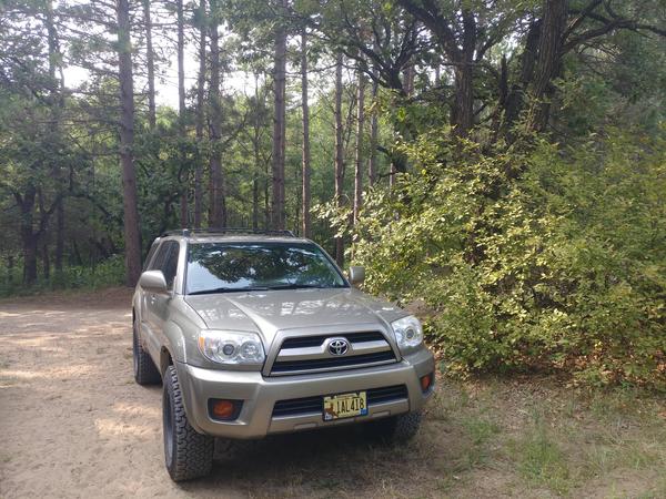 Sand Dunes State Forest