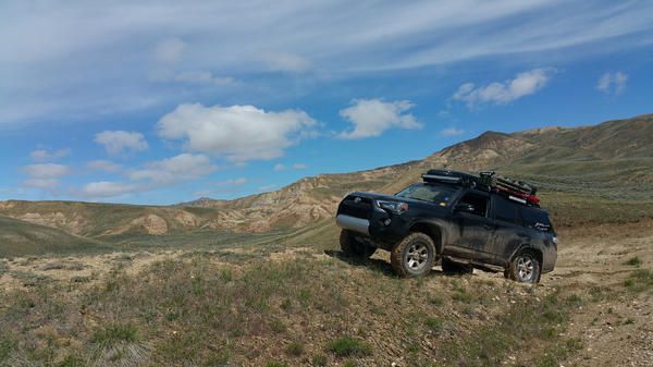 Searching the canyons outside of Cody, Wy looking for wild mustangs