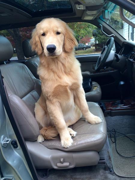 Seasoned co-pilot.