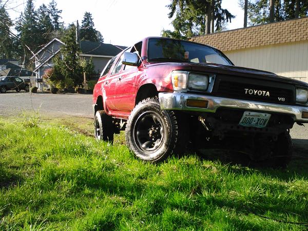 She got a bath and had to flex her muscles.