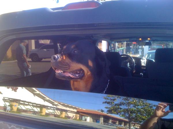 She loves the truck almost as much as I do