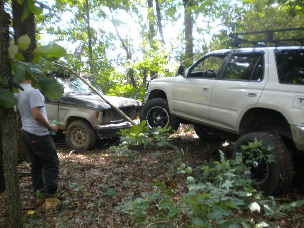 Showin a bronco who's boss