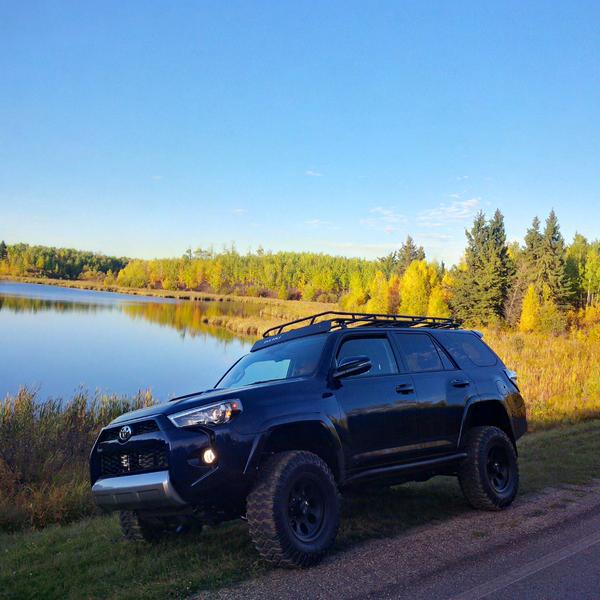 side of the road in Elk Island National Park