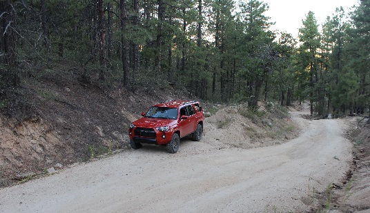 Side trail near the Beeline/Senator intersection