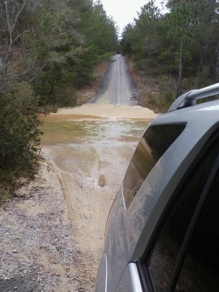 Small river crossing (Eglin, FL)- stock