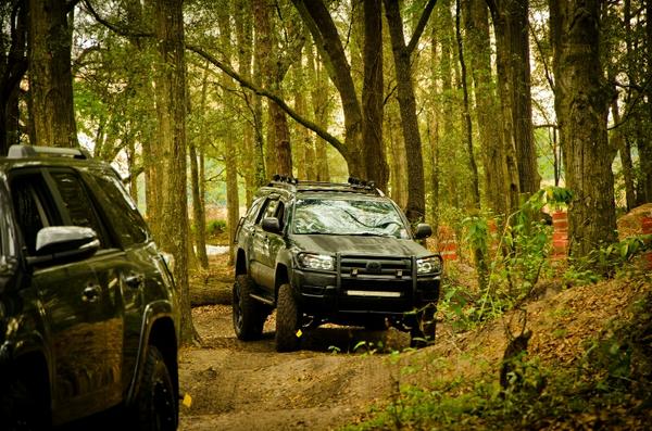 Sneaking thru the trails
