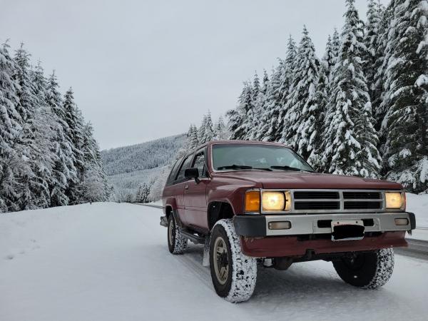snow bunny