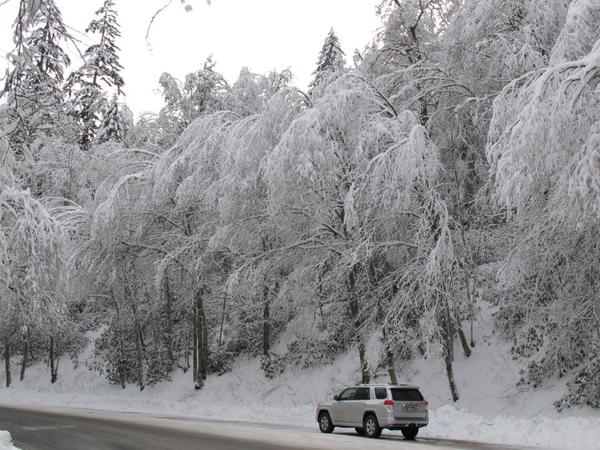 snowRunner