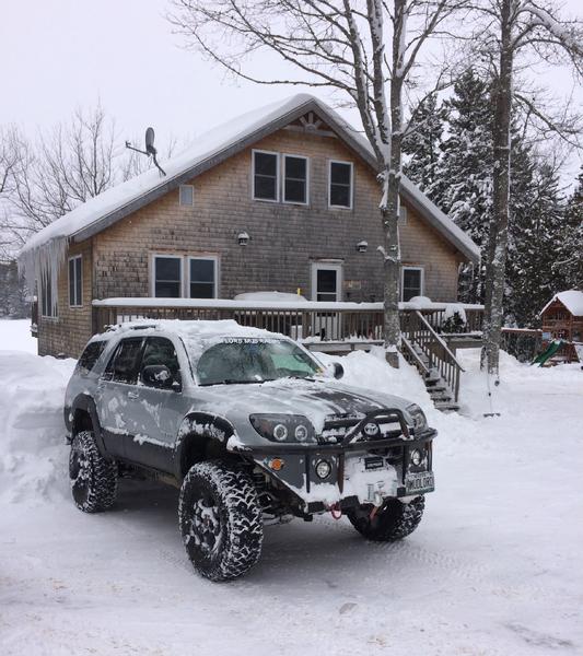 Snowy at home.