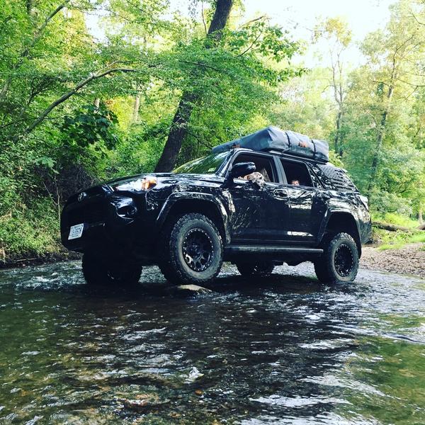 some creek flexing
