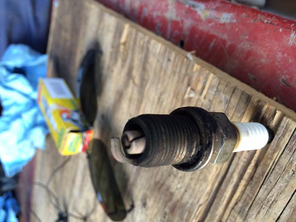 sparkplug