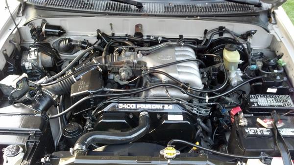 spotless