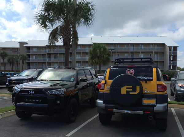 Spotted @ Orange Beach, AL