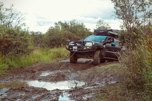 Stampede Trail