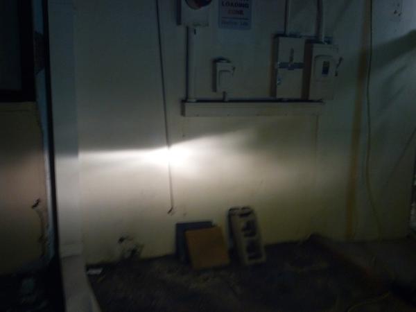 stock 55w halogen 9003.