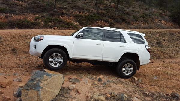 Stock Flex!!!
