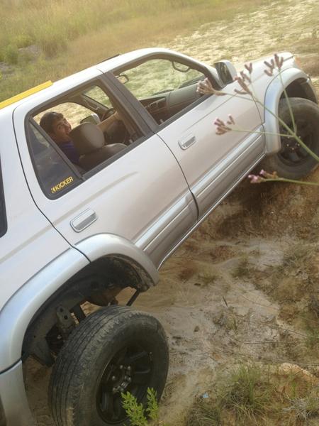 stock flexed out