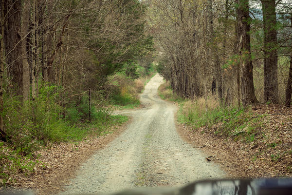 Stokes, nj