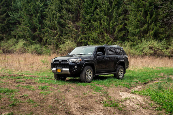 stokes state forest
