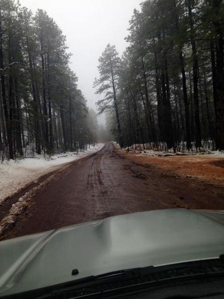 Stoneman Lake Road A primitive road linking I17 to Lake Mary Road in AZ.  Lots of camping here.
