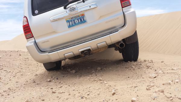Stretching its legs.