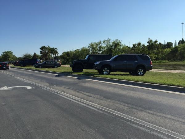 SUBURBAN CURB CRAWLING