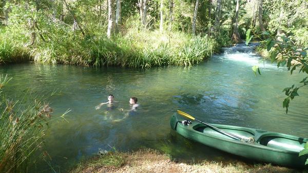 Swimming with the Freshwater crocs... but they don't attack you like the big saltwater ones.