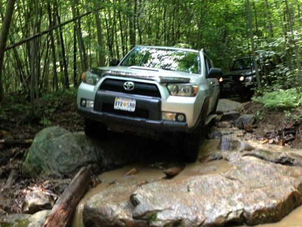 t4r at Cove on Trickle